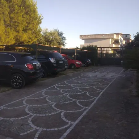 Elena מינטורנו