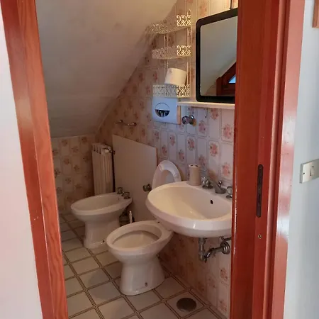 Elena * מינטורנו